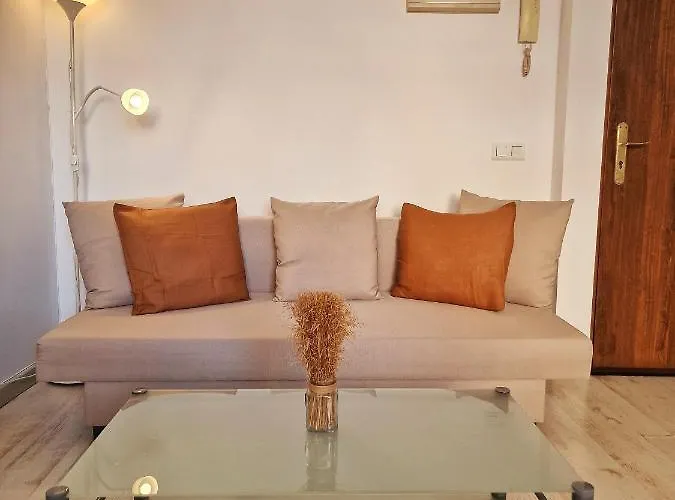 Confortable Apartamento En El Centro De Con Parking *